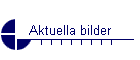 Aktuella bilder